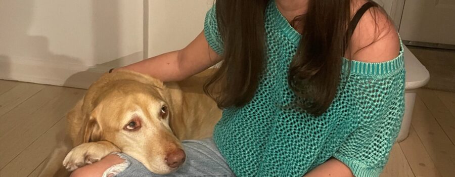 Take Money Stress Out of Pet Care
