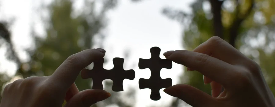 Find Your Missing Piece 