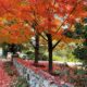 Seasonal Mindful Money Tips
