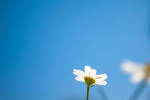 What To Do When “More” Stops Feeling Good