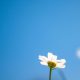 What To Do When “More” Stops Feeling Good