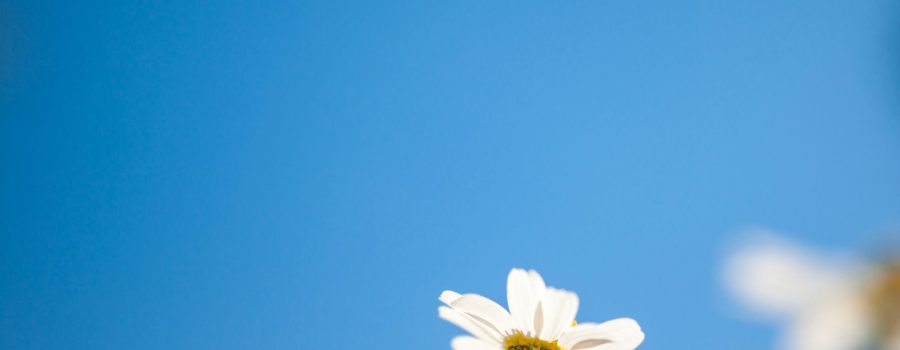 What To Do When “More” Stops Feeling Good